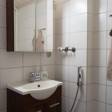 Moisio - Puutaloidylliae Salon Keskustassa *