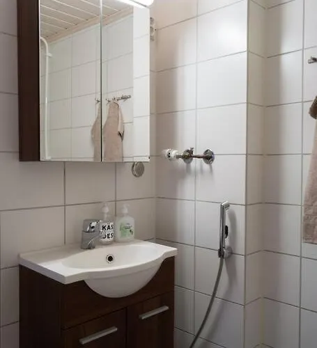 Moisio - Puutaloidylliae Salon Keskustassa *